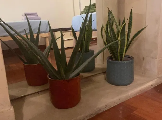 Semesterbostad Loft Ponte Pietra