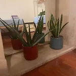 Tatil Evi Loft Ponte Pietra