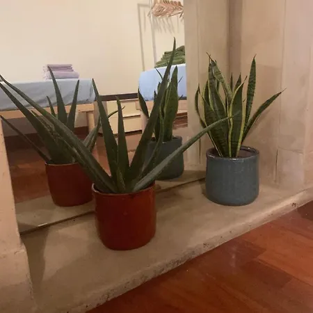 Prázdninový dům Loft Ponte Pietra